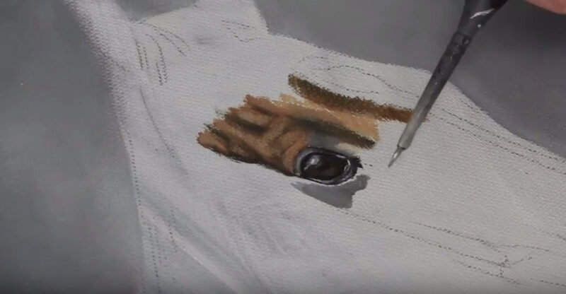 How to Paint a Realistic Horse Like an Artist - Studio Wildlife