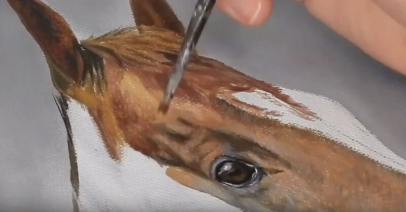How to Paint a Realistic Horse Like an Artist - Studio Wildlife