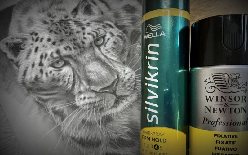 Hairspray on your Drawings? You need to know this Studio Wildlife