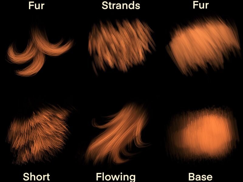 Fur brush set