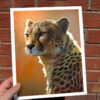 Cheetah art