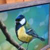 'Great Tit' Acrylic Painting