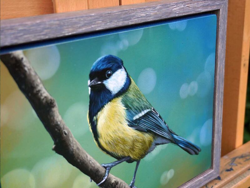 'Great Tit' Acrylic Painting