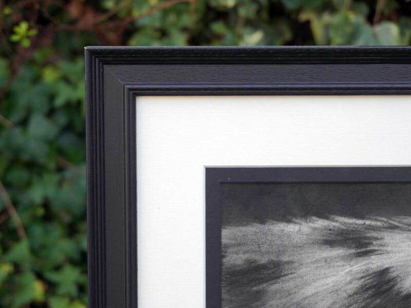 'Walk on the Wild Side' Original Charcoal Drawing