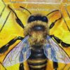 393864790_1377391619533288_7027095926426872899_n 'Bee Happy' Original Acrylic Painting