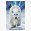 Limited Edition Giclee Print of 'Arctic Majesty' /25