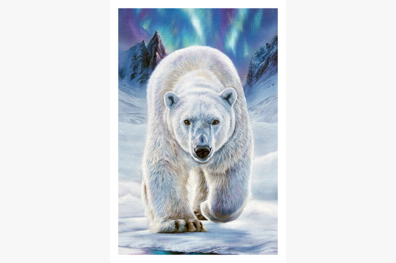 Limited Edition Giclee Print of 'Arctic Majesty' /25