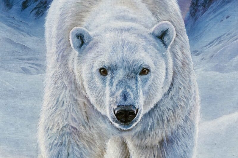 Limited Edition Giclee Print of 'Arctic Majesty' /25