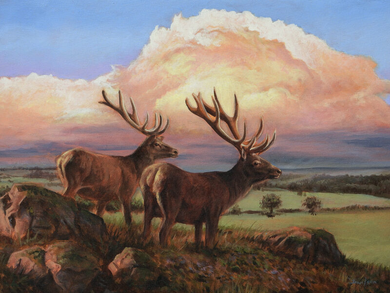 Clouds and quiet hearts 'Clouds and Quiet Hearts' Original Acrylic Painting