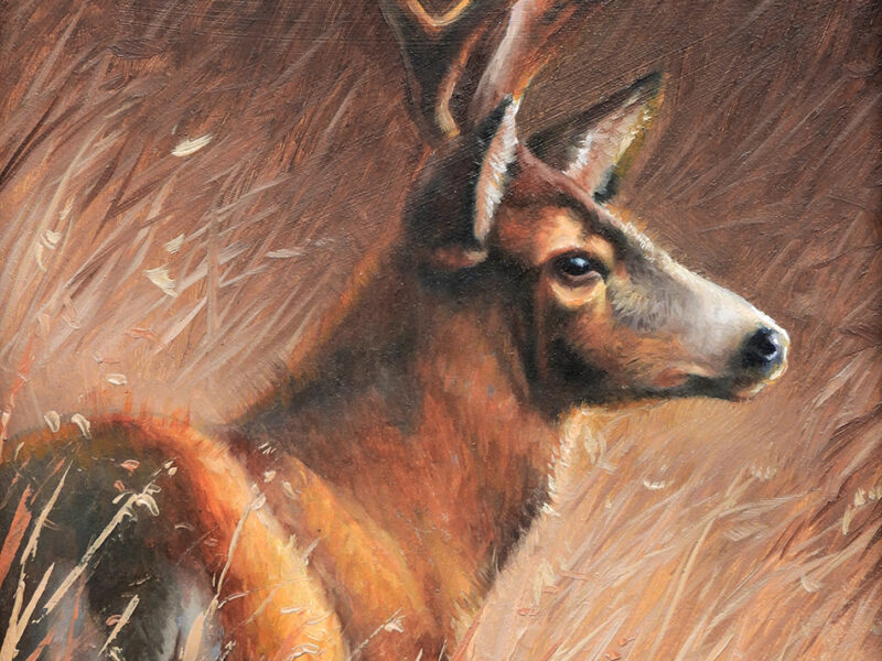 Crowned 'Velvet' Original Oil Painting