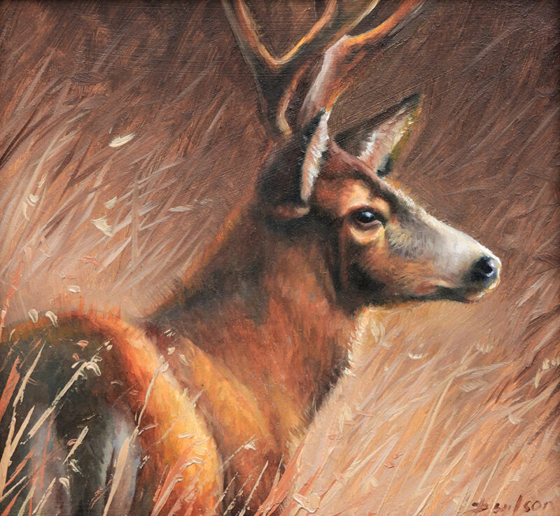 'Velvet' Original Oil Painting