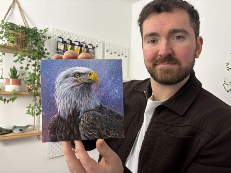 'Stars, Stripes and Feathers' Original Acrylic Painting