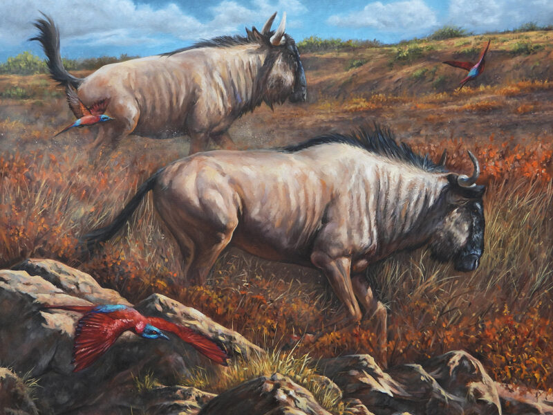 In Full Flight 'In Full Flight' Original Oil Painting