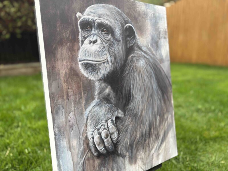 IMG_3570 'Sentience' Original Acrylic Painting