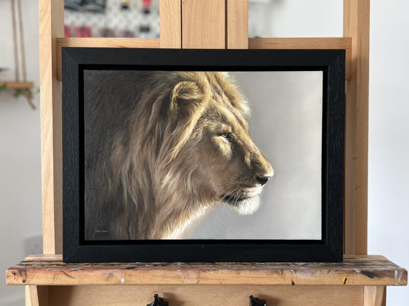 IMG_7011 'Royal Focus' Original Oil Painting
