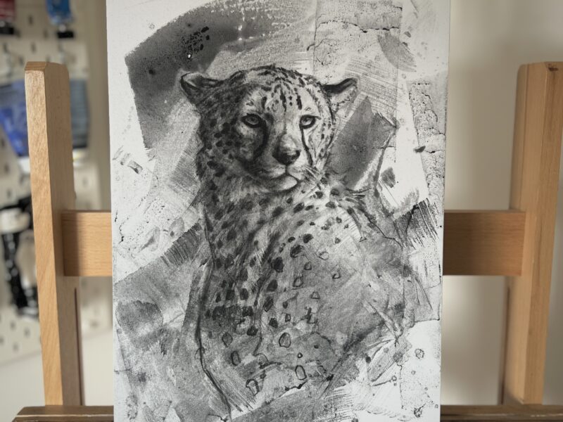 IMG_7383 'Cheetah Study 3 ' Original Charcoal Painting
