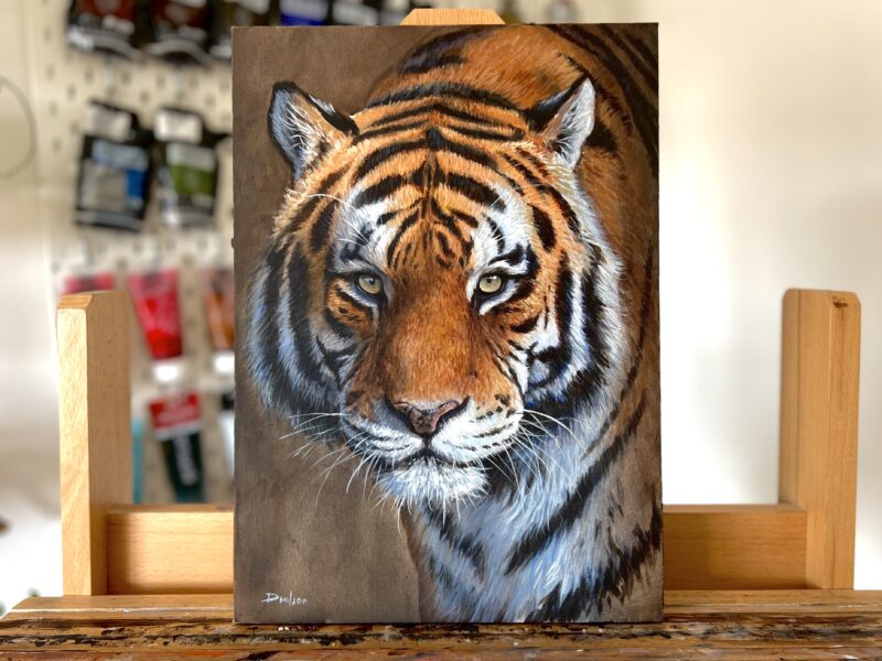 IMG_7419 'Tiger Study 8 ' Original Acrylic Painting