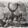 IMG_7420 2 'Beneath A Burning Sky Study' Original Charcoal Painting