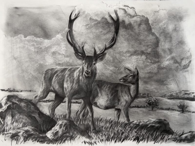 IMG_7420 2 'Beneath A Burning Sky Study' Original Charcoal Painting