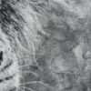 IMG_7563 'The Grey' Original Charcoal Painting
