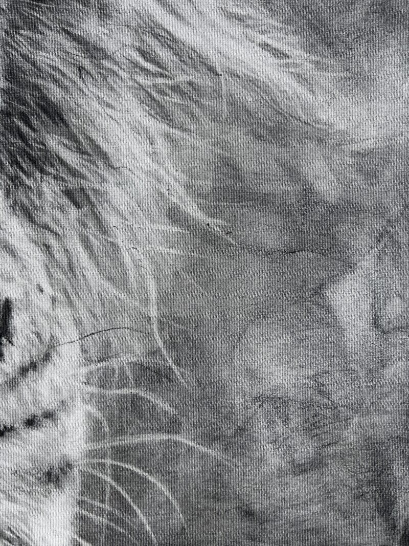 IMG_7563 'The Grey' Original Charcoal Painting