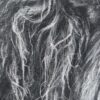 IMG_7565 'The Grey' Original Charcoal Painting