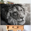 lion a1 1 web 'The Grey' Original Charcoal Painting